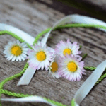 geschenkgutschein hotel liono goslar