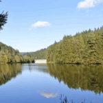 geschenkgutschein hotel liono goslar