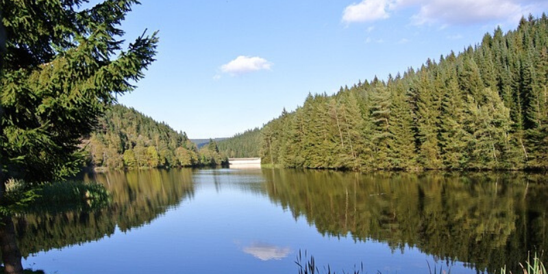 geschenkgutschein hotel liono goslar