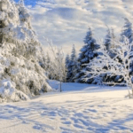 geschenkgutschein hotel liono goslar