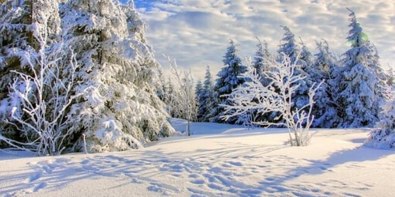 geschenkgutschein hotel liono goslar